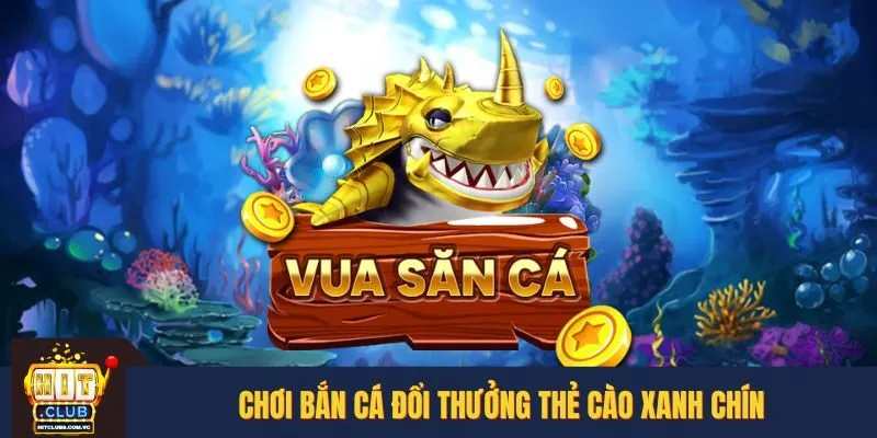 Bắn cá đổi thưởng thẻ cào