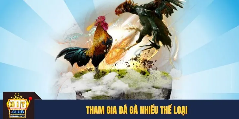 Tham gia đá gà nhiều thể loại