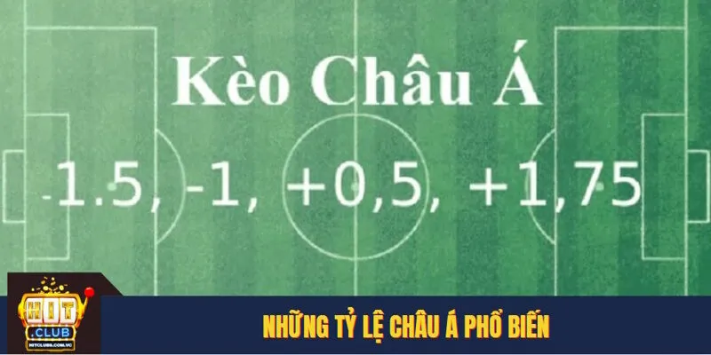 Soi kèo châu Á và cách đọc những tỷ lệ cơ bản
